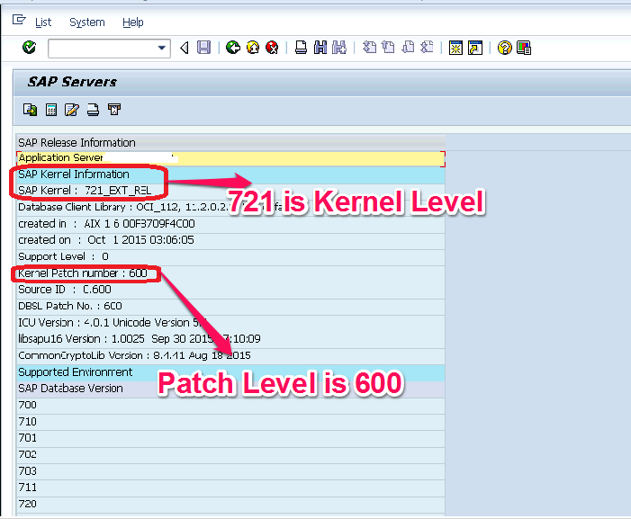 applying kernel patches sap